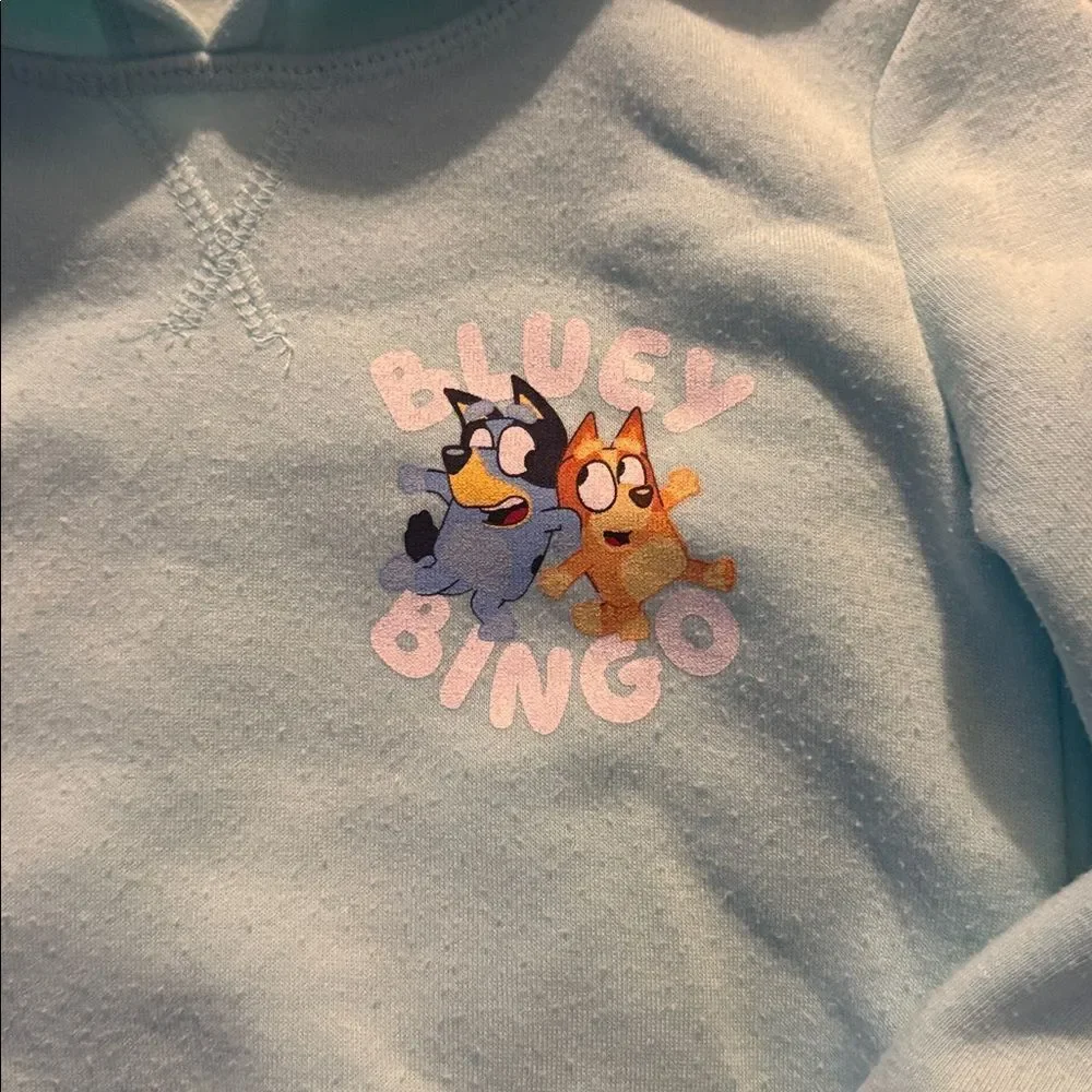 Bluey Fleece Lined Sweats Set